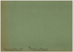 Vente publique du 7 mai 1931: correspondance, liste d'oeuvre, affiche, catalogue, prospectus...